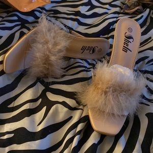 I couldn’t fit  brand new size 10